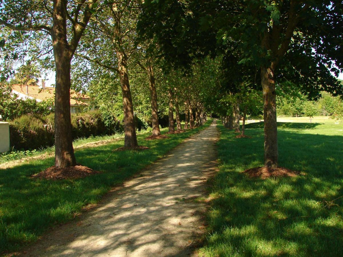 הוילה Saint-Germain-de-Marencennes Coeur-De-Charente-Maritime, Au Fil De L'Eau מראה חיצוני תמונה